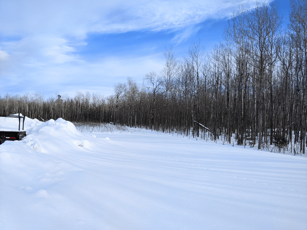 Site Assessment