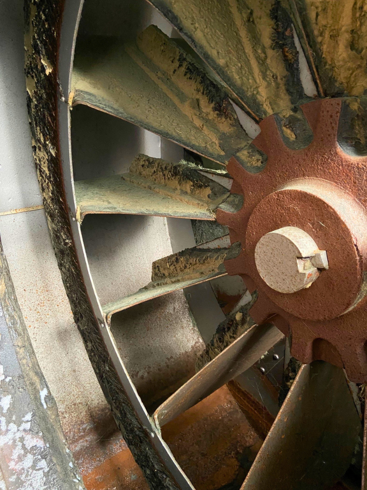 old fan
